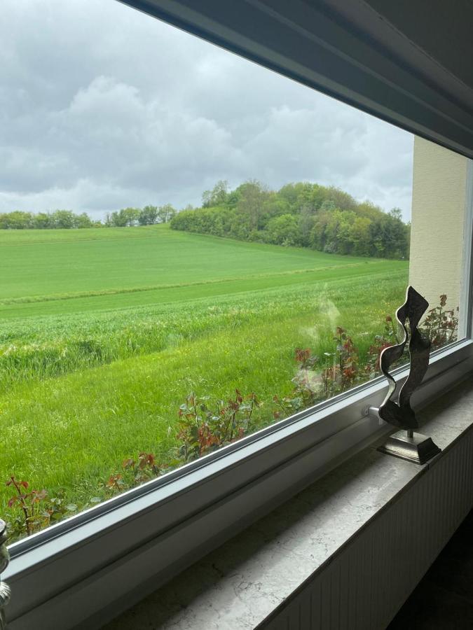 Ferienwohnung Haus Abrioux Zur Falkenlay Bad Bertrich Exterior photo